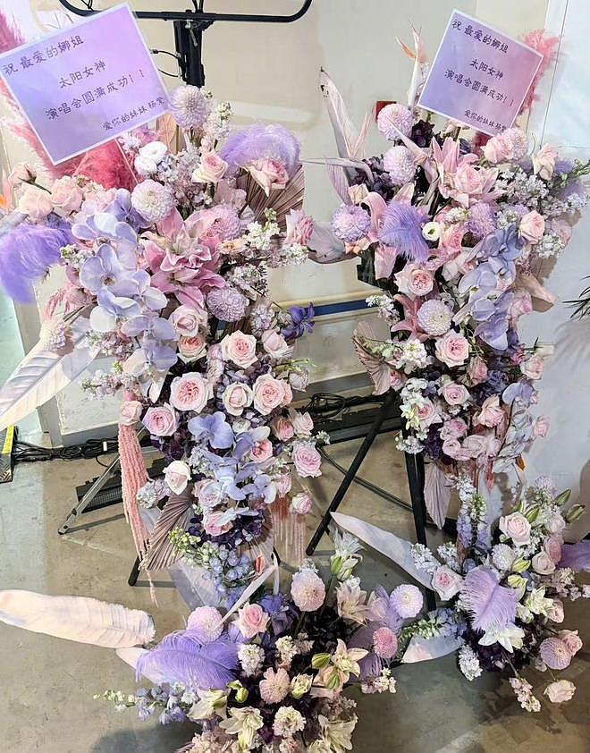 誓死抵制谢娜巡演?网友撕破脸放狠话:敢来就吊死在演唱会门口!(组图) - 13