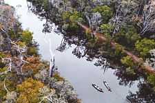 逃离悉尼也没用？澳多地房价5年暴涨237%，租金也在飙升（组图）