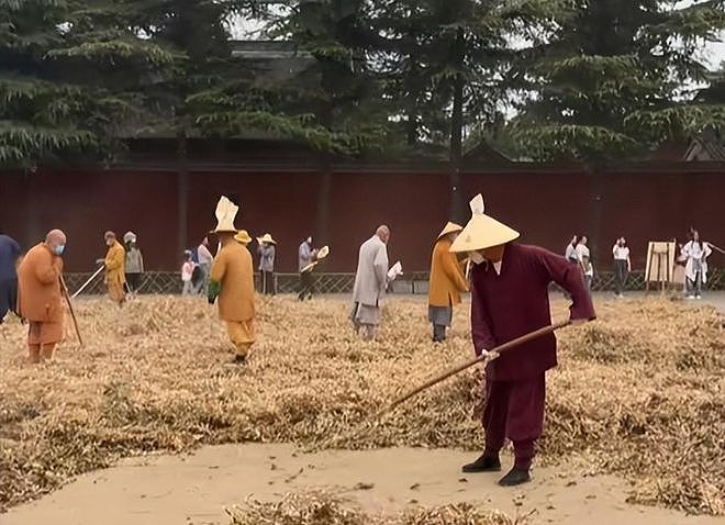 少林新住持10个月砍掉800万元收入,只为恢复佛门清净(组图) - 9
