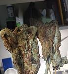 鹅腿阿姨儿子被扒：宝马路虎换着开，出手很阔绰，妻子貌美如花（组图）