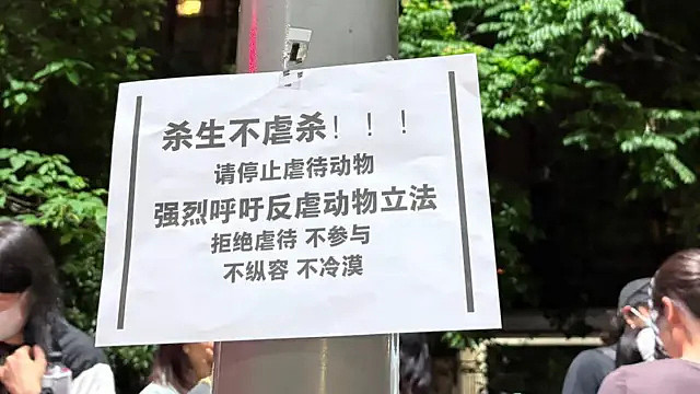 重庆虐狗风波:上百人集会抗议被清场,中国立法反虐待动物有多难?(组图) - 1