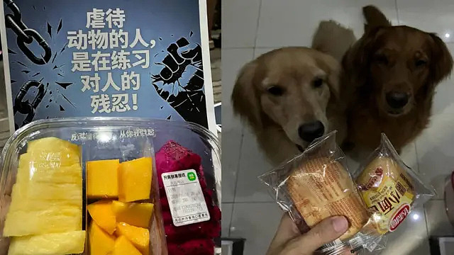 重庆虐狗风波:上百人集会抗议被清场,中国立法反虐待动物有多难?(组图) - 3