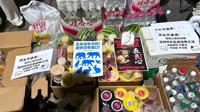 重庆虐狗风波:上百人集会抗议被清场,中国立法反虐待动物有多难?(组图) - 6