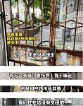 华侨月花三千雇人守广州祖宅反被霸占，对方呛：干嘛要走（组图）