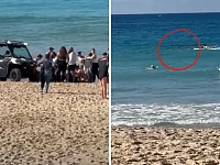 悉尼Coogee Beach突发骇人鲨鱼袭击：一女子受重伤，直升机救援送医（组图）