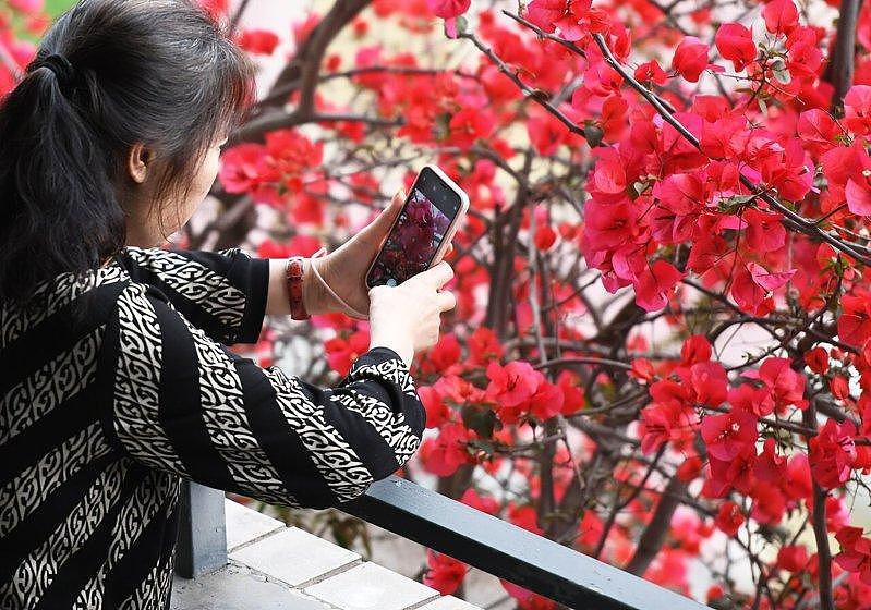 “绿了全世界”,中国奇迹震碎老外三观 - 3