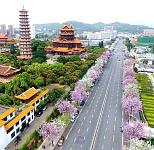 “绿了全世界”，中国奇迹震碎老外三观