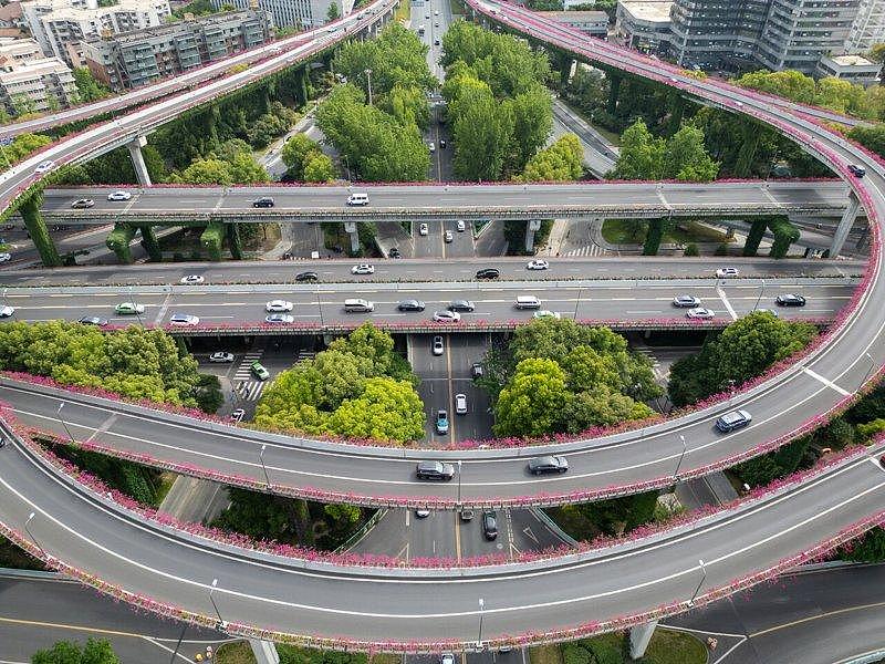 “绿了全世界”,中国奇迹震碎老外三观 - 7