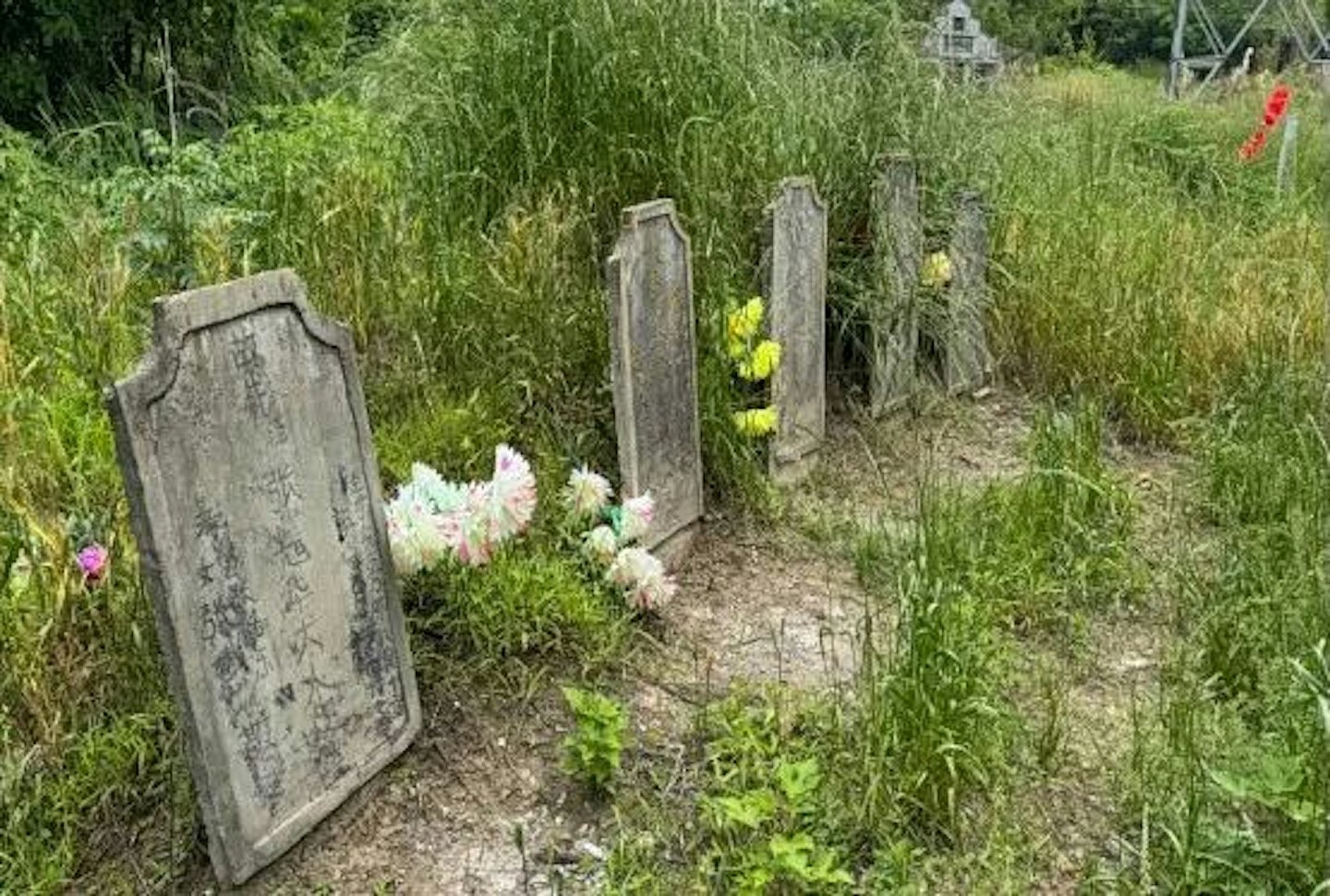 武汉惊现癌症村！62位村民先后患癌，官方结论是…（组图） - 1