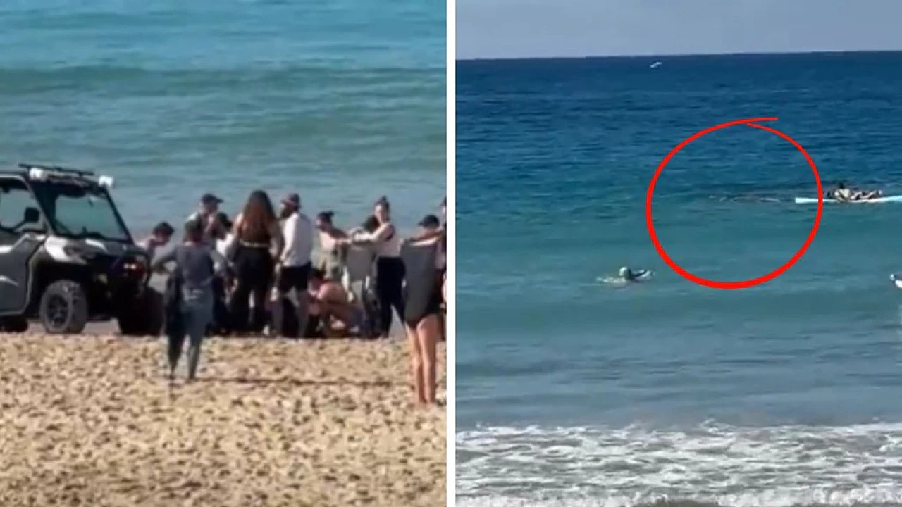 “海里全是血”!澳海滩4米巨鲨袭人,休班救生员奋勇救人,35岁女子险丧命(视频/组图) - 2