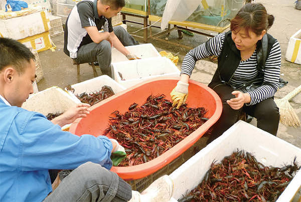 每日一谈6.13-6.19（组图） - 2