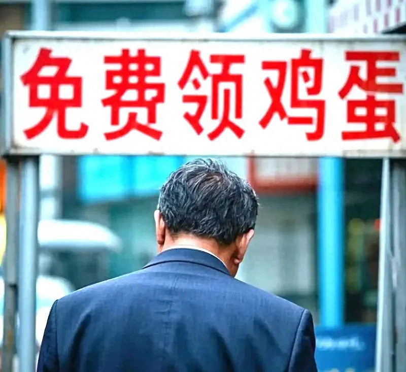 又一场鸡蛋骗局! 几千万的养老钱 全都打了水漂 - 1