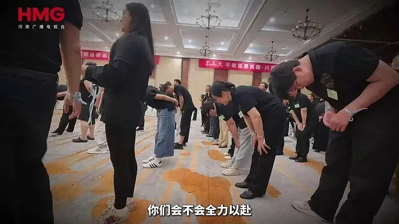 又一场鸡蛋骗局! 几千万的养老钱 全都打了水漂 - 3
