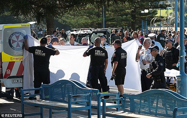 悉尼海滩大白鲨袭人!35岁宝妈不幸截肢,仍靠生命维持系统求生(组图) - 3