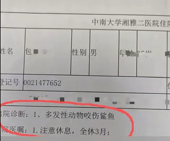 中国长沙海洋馆鲨鱼咬伤潜水游客,全网围观:湖南史上第一人(组图) - 3