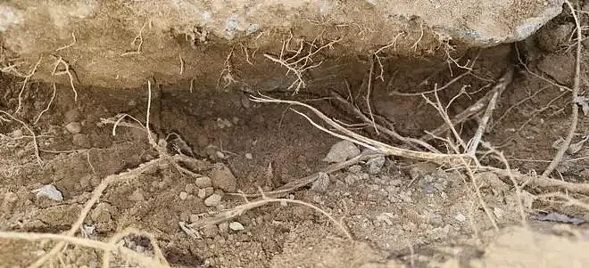 混凝土用手一掰即碎,山东3亿北斗工程现脆皮底座(组图) - 4
