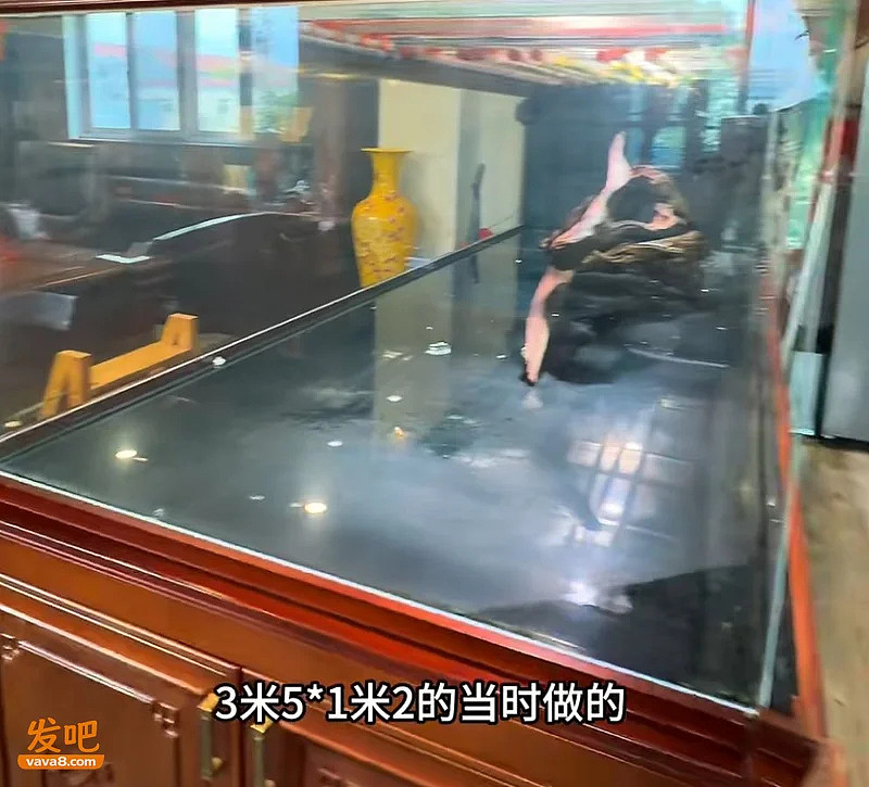 3米鱼缸炸了!主人含泪摆了桌“价值几十万的大餐” - 1