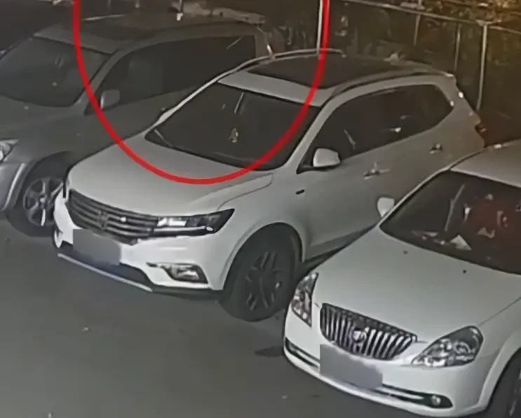 特斯拉后备箱30万现金消失！女车主：可能是...（组图） - 6