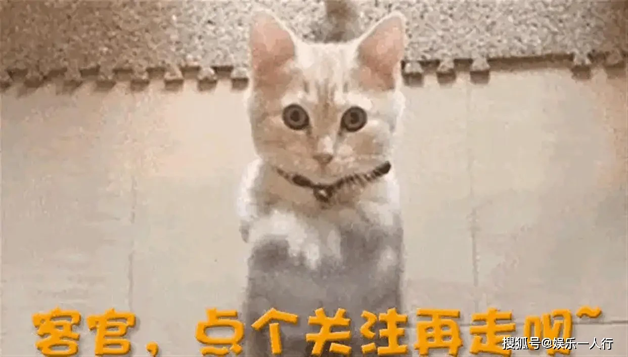 张艺谋都请不动王菲,孙浩凭什么一通电话解决?(组图) - 13