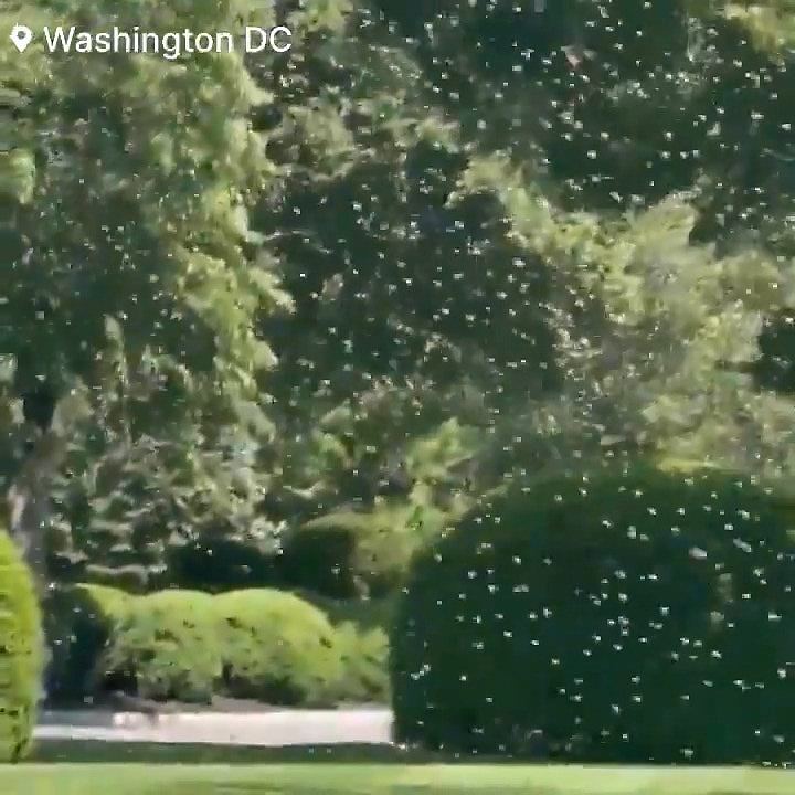 白宫疑遭窃听惹特朗普暴怒，对话细节，“连国务卿爆粗都曝光”（组图） - 4