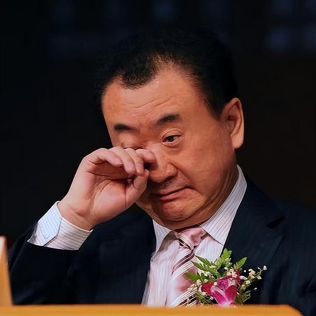 曾经坐拥2600亿!如今身家蒸发95%,首富跌落背后藏连环资本赌局 - 5