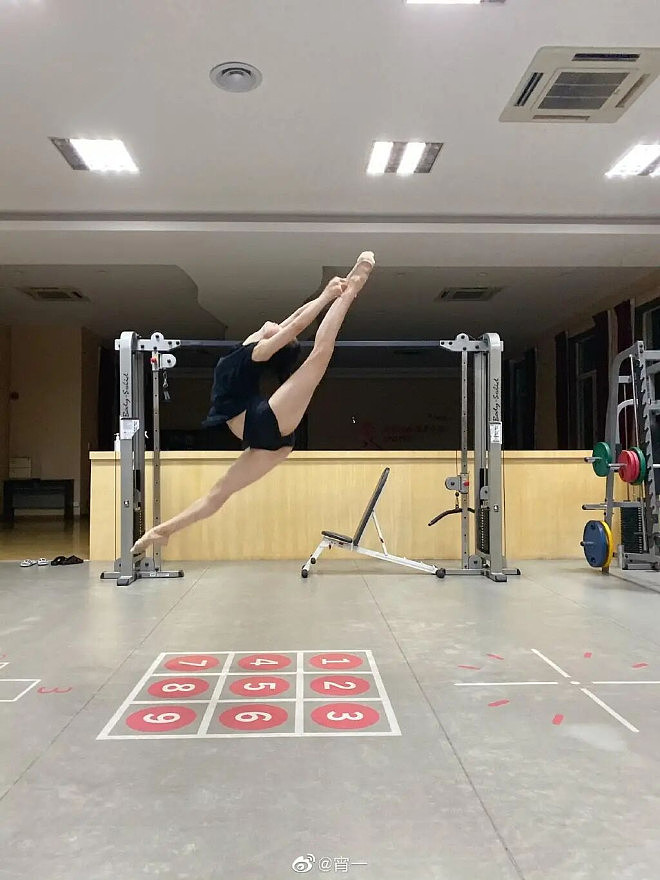 春晚一舞封神后,她嫁入400亿豪门之家 - 9