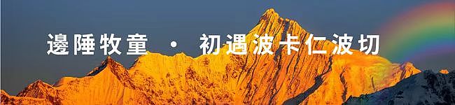 同祈願・四海寧｜2026年第十三屆澳洲噶舉祈願法會即將盛大啟幕 - 8