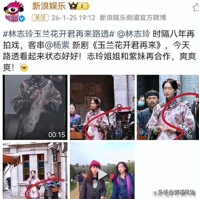 吃相难看!迪士尼不顾立场风波,邀请林志玲站台,发言更令人气愤(组图) - 7