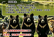 动物园年薪10万急招人扮黑熊，在岗期间不能说人话