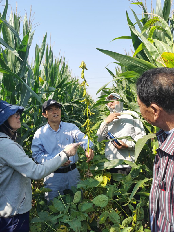每日一谈6.13-6.19（组图） - 5