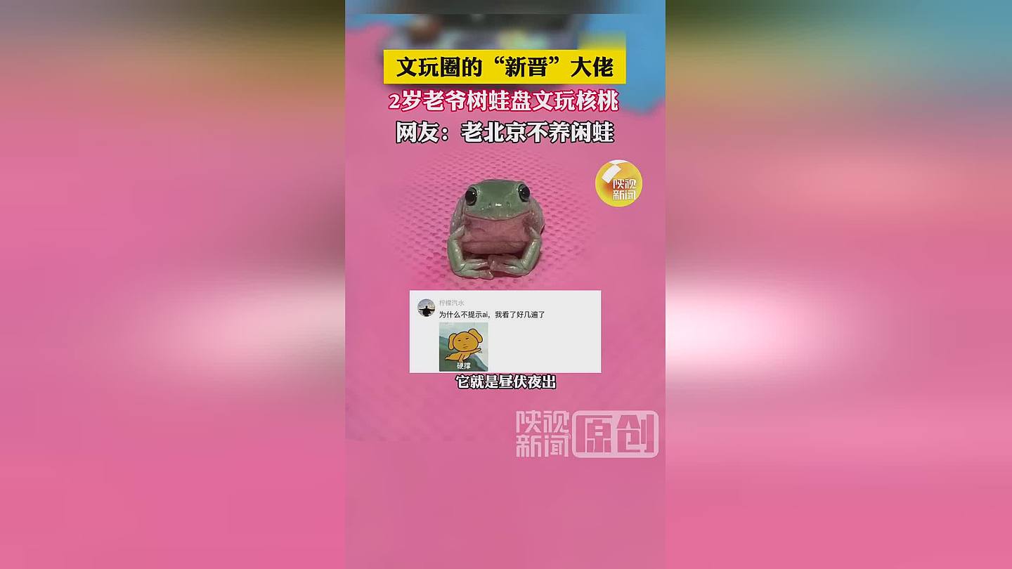 手脚并用！北京女子让2岁树蛙每晚帮自己盘核桃，网友：老北京不养闲蛙（视频/图） - 1