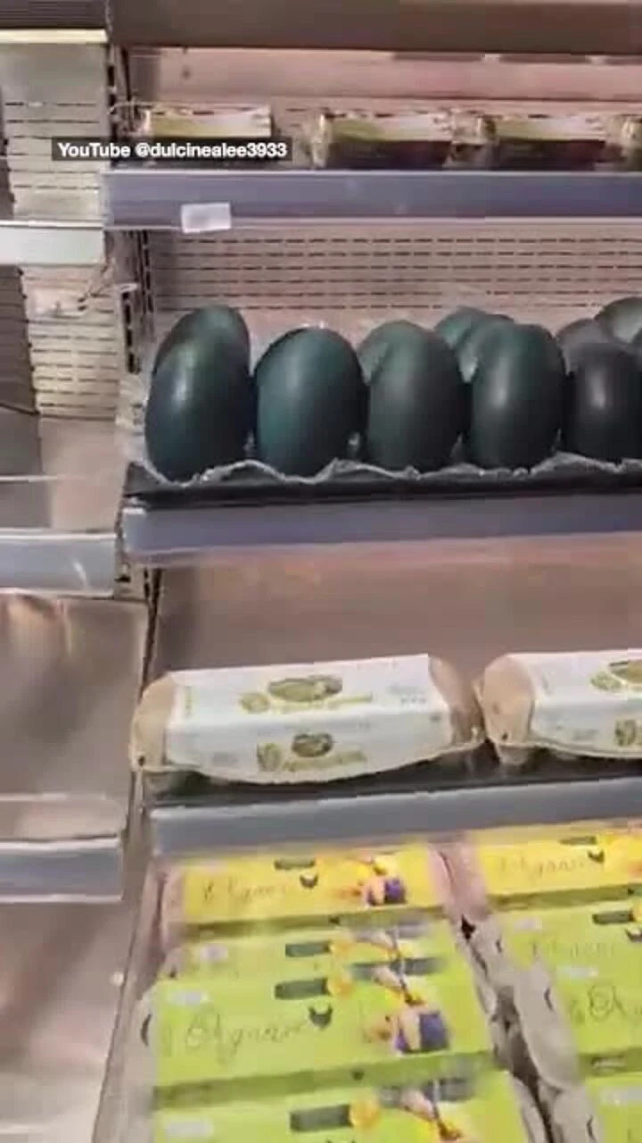 澳杂货店上架$24.99鸸鹋蛋引热议!网友直呼奇怪,政府:是违法的(组图) - 1