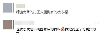 无印良品模特集体发疯，全网玩梗笑不活了（组图） - 15