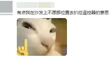 无印良品模特集体发疯，全网玩梗笑不活了（组图） - 20