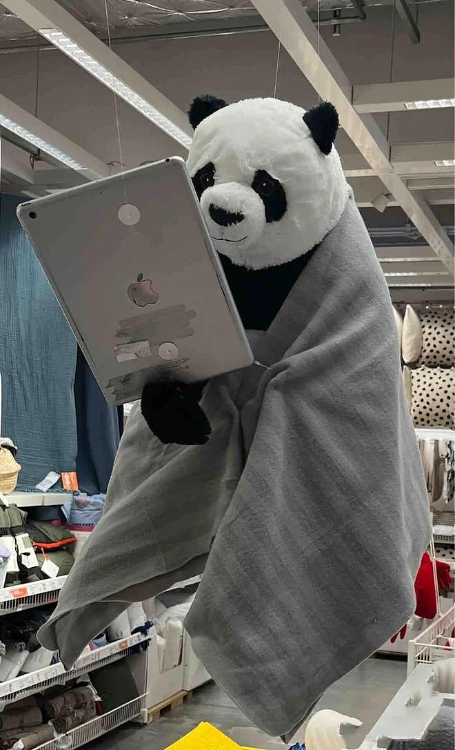 无印良品模特集体发疯，全网玩梗笑不活了（组图） - 37
