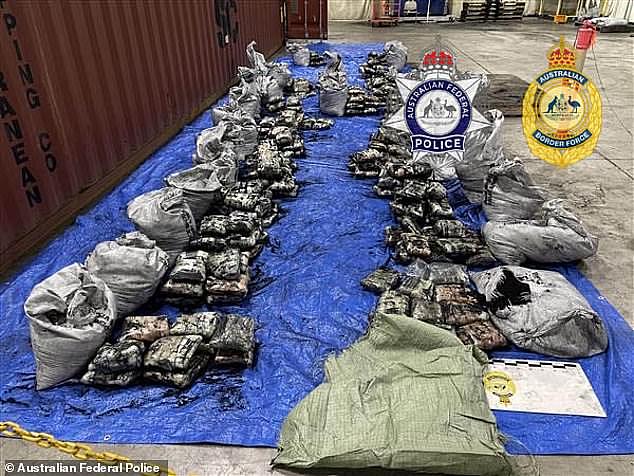 涉走私320kg冰毒来澳!英国女星在悉尼被捕,黑市价高达$2.96亿(组图) - 2