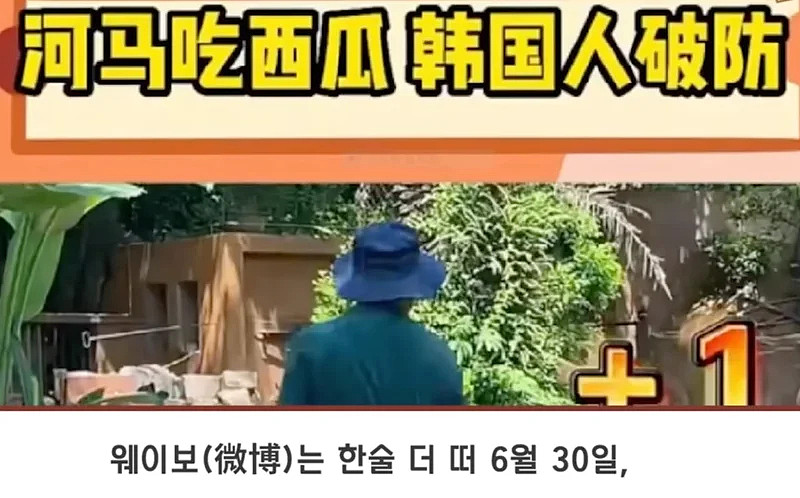 中国网友笑韩国人吃不起西瓜，韩国人回应…（组图） - 2