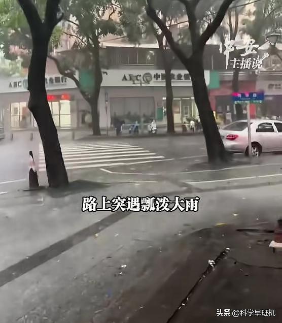 宝妈带娃避雨被保安撵：本地人爆料，不是第一次，商家生意恐要黄（组图） - 3