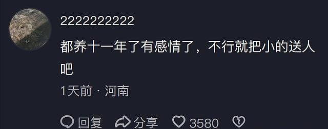 大型宠物犬趁主人刚走,张嘴就咬小孩,监控曝光,主人:绝不弃养 - 2