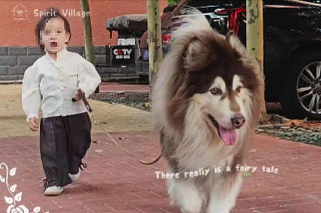 大型宠物犬趁主人刚走,张嘴就咬小孩,监控曝光,主人:绝不弃养 - 3