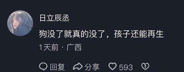 大型宠物犬趁主人刚走,张嘴就咬小孩,监控曝光,主人:绝不弃养 - 12