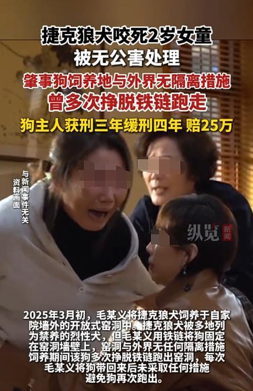 大型宠物犬趁主人刚走,张嘴就咬小孩,监控曝光,主人:绝不弃养 - 15