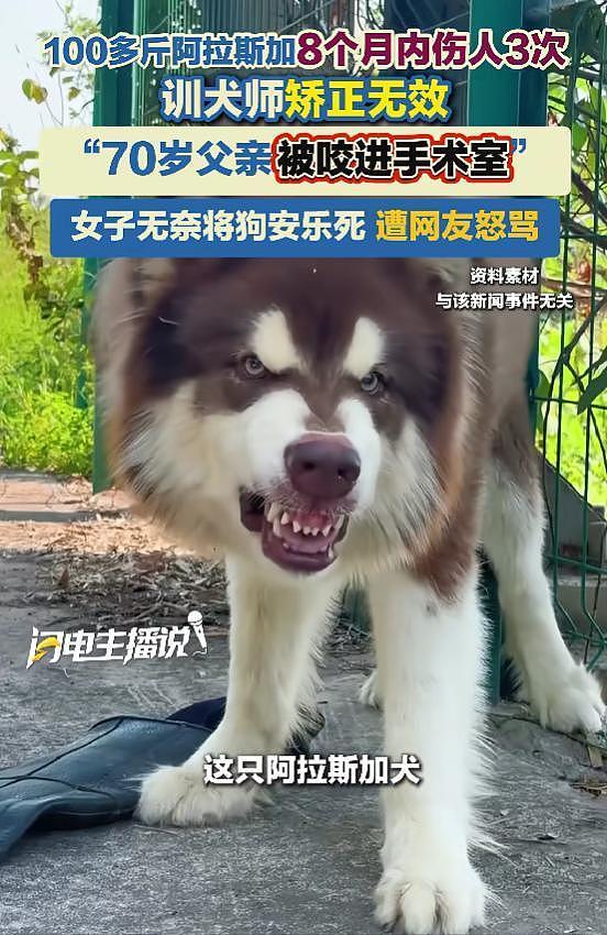 大型宠物犬趁主人刚走,张嘴就咬小孩,监控曝光,主人:绝不弃养 - 16