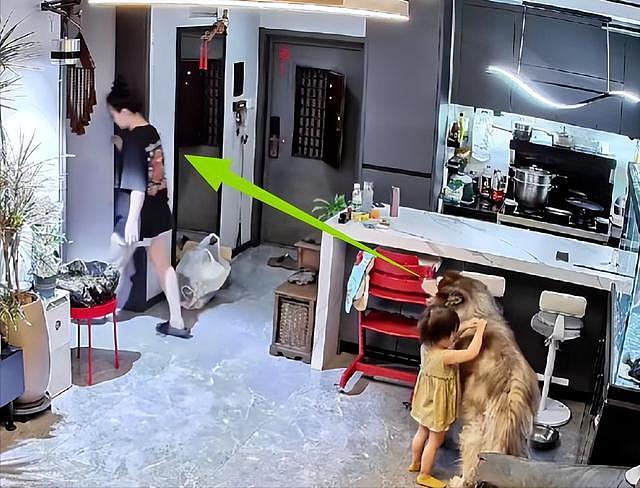 大型宠物犬趁主人刚走,张嘴就咬小孩,监控曝光,主人:绝不弃养 - 18