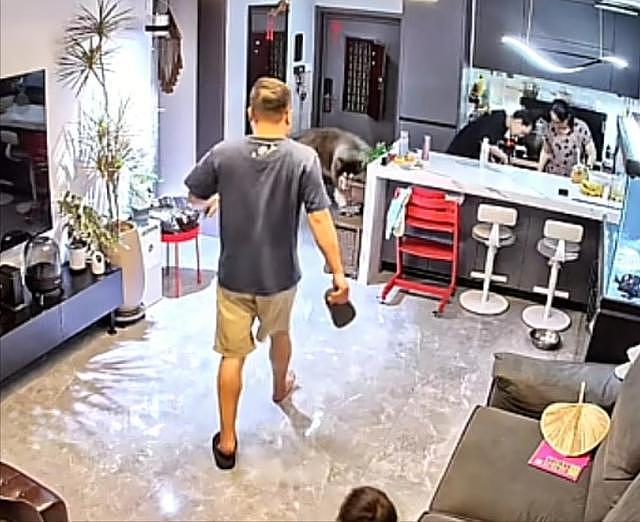 大型宠物犬趁主人刚走,张嘴就咬小孩,监控曝光,主人:绝不弃养 - 23