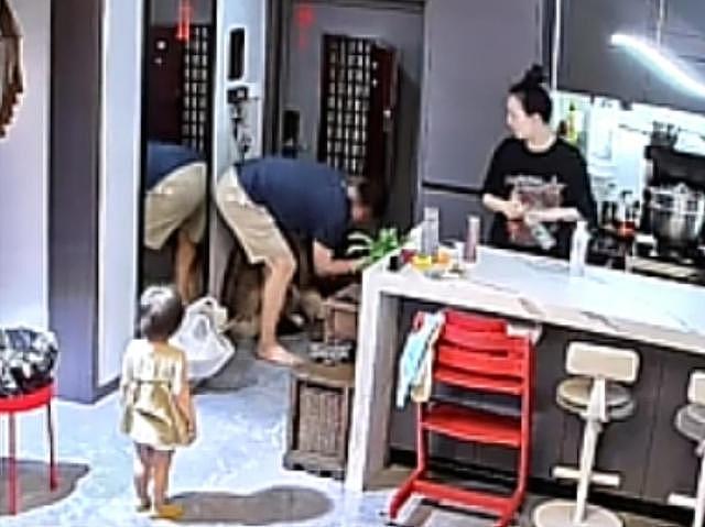 大型宠物犬趁主人刚走,张嘴就咬小孩,监控曝光,主人:绝不弃养 - 25