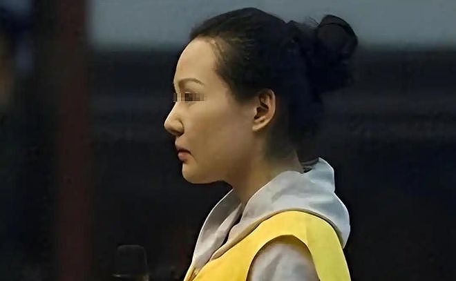 “天上人间”段丽娟被判死刑,死前咆哮:下辈子还敢这么活 - 5