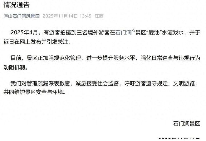 印度人南京街头制造闹剧,多国收紧签证,南京:规则面前不姑息!(组图) - 1