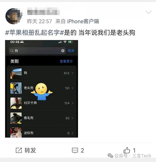 苹果相册“人工智障”式取名登热搜(组图) - 5