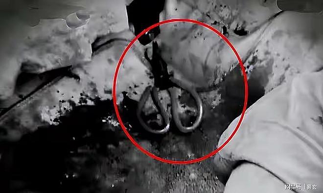 “大不了给我一颗子弹，我就是要扎死她”，24岁男子新婚两月杀妻（组图） - 7